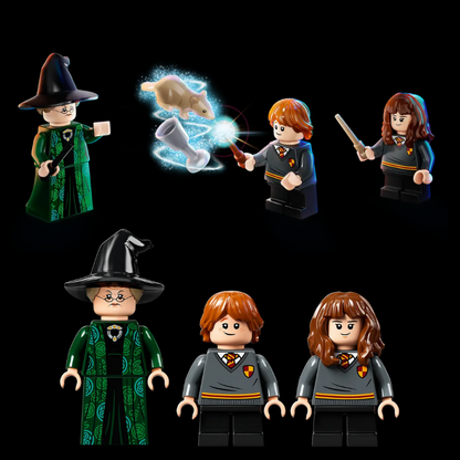 Hogwarts: Cours de Métamorphose (241 pièces)