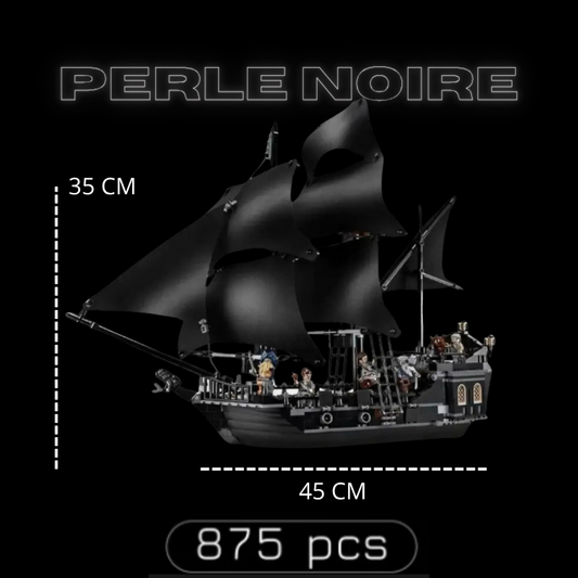 Perle Noire (875 pièces)