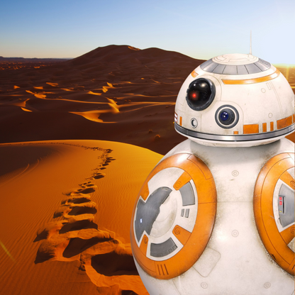 BB-8 (1106 pièces)